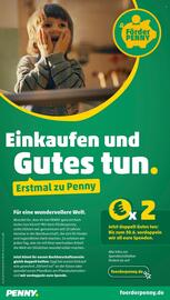 PENNY Prospekt woche 25 Seite 44