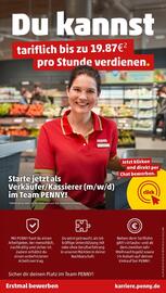 PENNY Prospekt woche 25 Seite 47