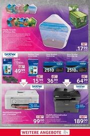 Selgros Prospekt woche 25 Seite 13