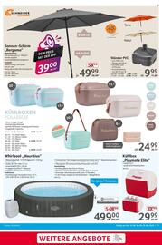 Selgros Prospekt woche 25 Seite 17