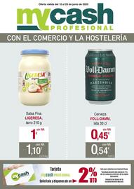 Folleto mycash profesional Página 1