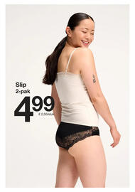 Zeeman folder Pagina 17