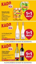 Delhaize folder week 25 Pagina 22