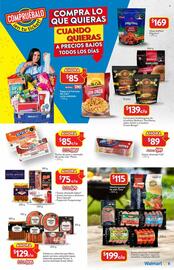 Catálogo Walmart Página 16
