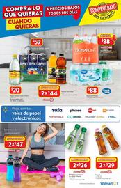 Catálogo Walmart Página 17