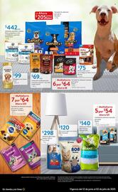 Catálogo Walmart Express Página 22