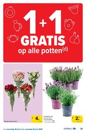 Carrefour folder Pagina 33