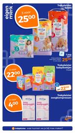 Trekpleister folder Pagina 31