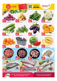 Shaklan catalogue Page 6