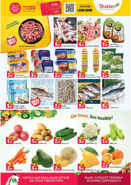 Shaklan catalogue Page 2