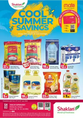 Shaklan catalogue (valid until 15-06)