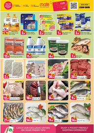 Shaklan catalogue Page 4