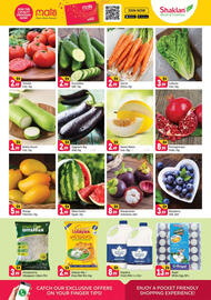 Shaklan catalogue Page 2