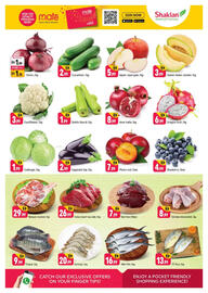 Shaklan catalogue Page 2