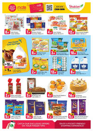 Shaklan catalogue Page 3