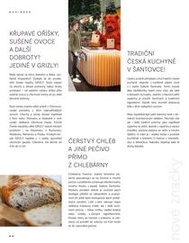 Galerie Šantovka leták Strana 80