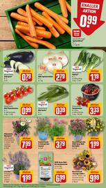 REWE Prospekt woche 25 Seite 5