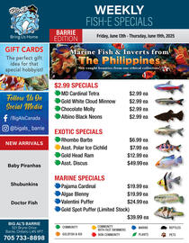 Big Al&#x27;s Pets flyer week 24 Page 1