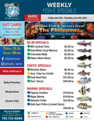 Big Al&#x27;s Pets flyer (valid until 19-06)