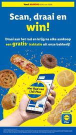 Lidl folder week 25 Pagina 10