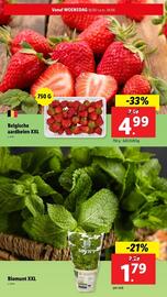 Lidl folder week 25 Pagina 5