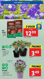 Lidl folder week 25 Pagina 56