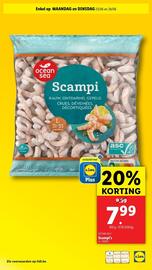 Lidl folder week 25 Pagina 61