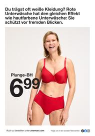 Zeeman Flugblatt Seite 10