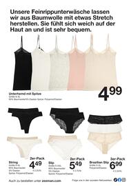Zeeman Flugblatt Seite 16