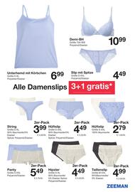Zeeman Flugblatt Seite 19