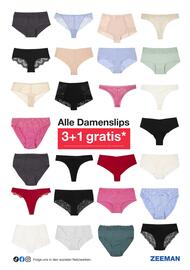 Zeeman Flugblatt Seite 9