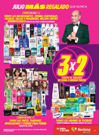 Catálogo Soriana Mercado semana 24 Página 3