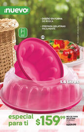 Catálogo Fuller Página 106