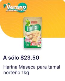 Catálogo OXXO Página 19
