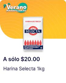 Catálogo OXXO Página 21