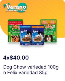 Catálogo OXXO Página 29