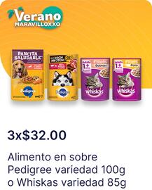 Catálogo OXXO Página 38