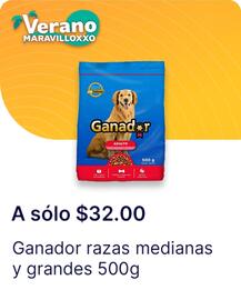 Catálogo OXXO Página 44