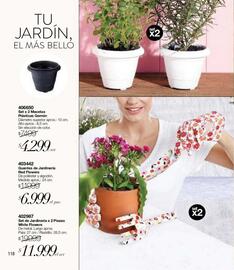 Catálogo Violetta Fabiani Página 118