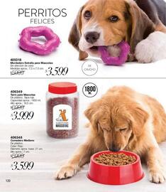 Catálogo Violetta Fabiani Página 120