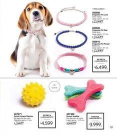 Catálogo Violetta Fabiani Página 121