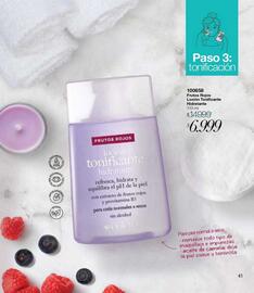 Catálogo Violetta Fabiani Página 41