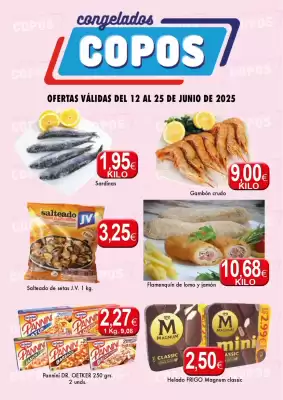 Folleto Congelados Copos (válido hasta el 25-06)