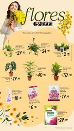 Catálogo Giassi Supermercados semana 24 Página 2
