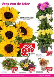 Dekamarkt folder week 25 Pagina 23