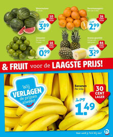Hoogvliet folder week 25 Pagina 3