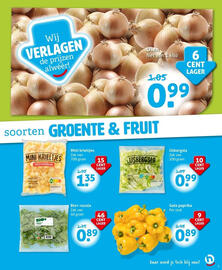 Hoogvliet folder week 25 Pagina 5