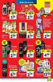 Lidl Flugblatt woche 25 Seite 10