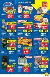 Lidl Flugblatt woche 25 Seite 12