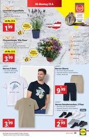 Lidl Flugblatt woche 25 Seite 28